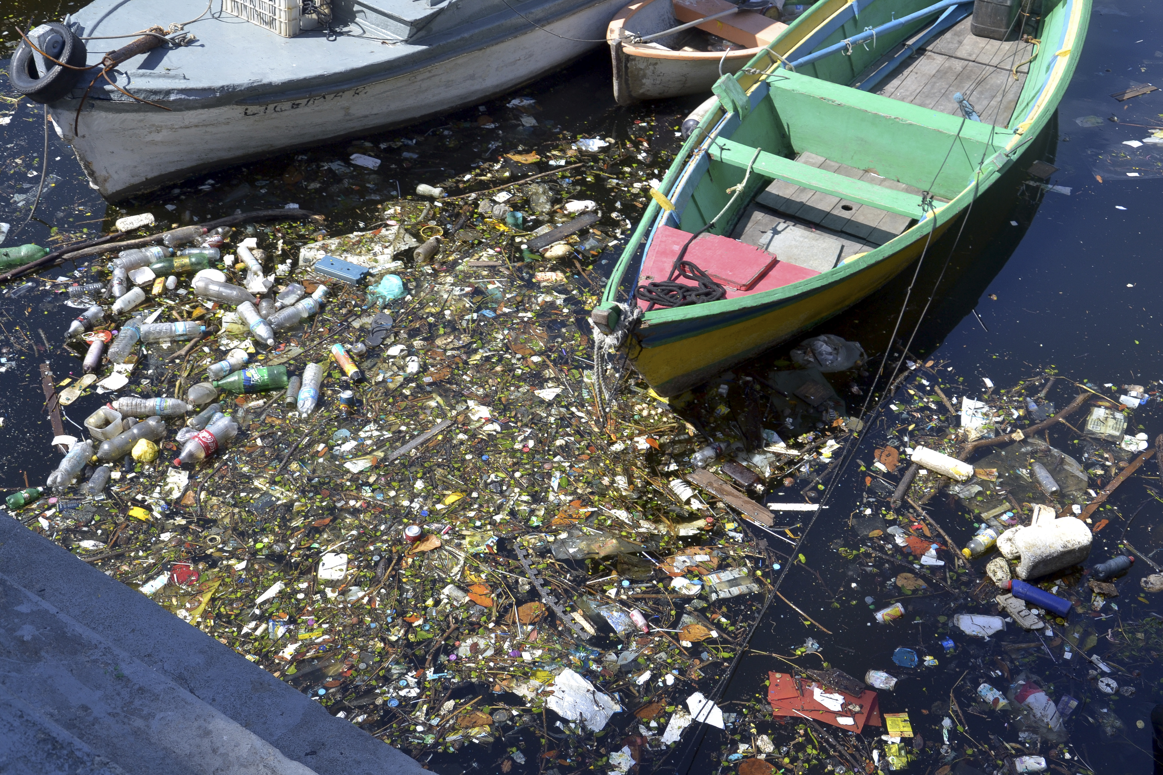 Crédito: Acervo Fundação Oswaldo Cruz